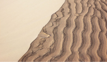 CANDEIAS E A DATILÓGRAFA